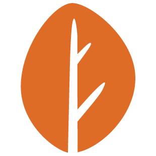 playconnectworld.com favicon